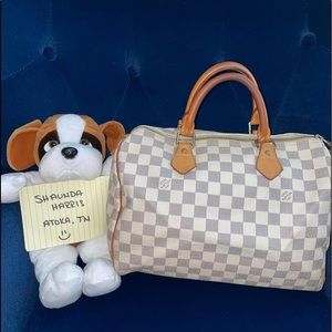 Speedy 30 in Damier Azur